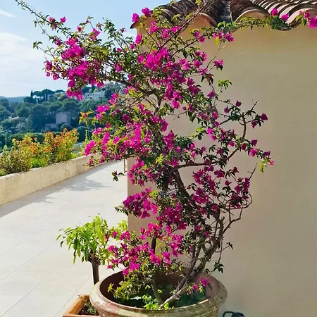 Elegant - Panoramic Vineyard View * קסיס